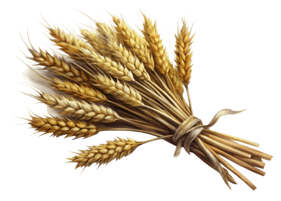 3D Sheaf of Dry Wheat Icon Design Guide